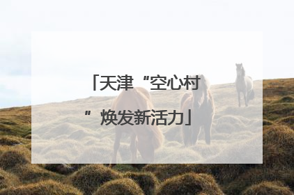 天津“空心村”焕发新活力