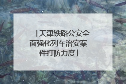 天津铁路公安全面强化列车治安案件打防力度