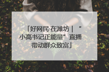 好网民·在潍坊｜“小高书记正能量”直播 带动群众致富