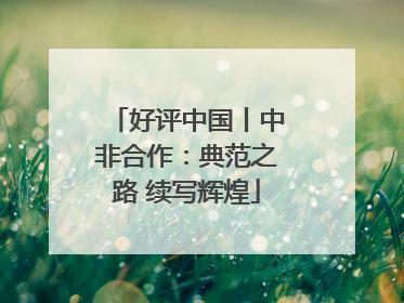好评中国丨中非合作：典范之路 续写辉煌