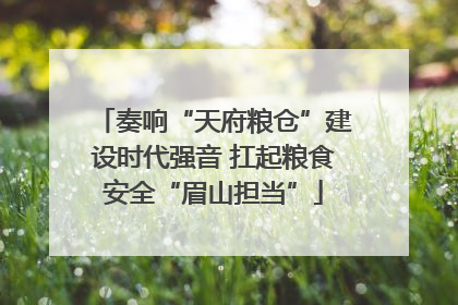 奏响“天府粮仓”建设时代强音 扛起粮食安全“眉山担当”