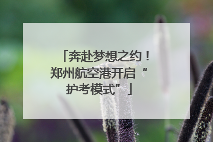 奔赴梦想之约！郑州航空港开启“护考模式”