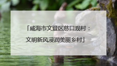 威海市文登区慈口观村：文明新风浸润美丽乡村