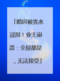 婚房被粪水浸泡！业主崩溃：全屋都是，无法接受