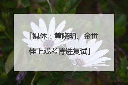 媒体：黄晓明、金世佳上戏考博进复试