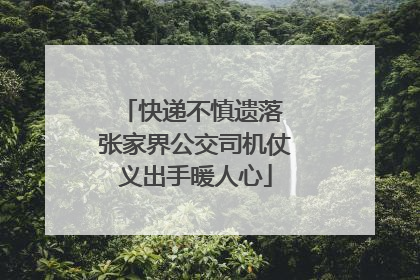 快递不慎遗落 张家界公交司机仗义出手暖人心