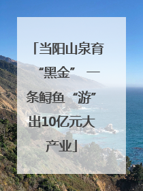 当阳山泉育“黑金” 一条鲟鱼“游”出10亿元大产业