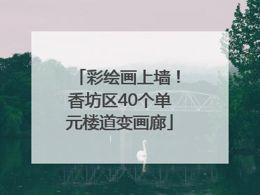 彩绘画上墙！香坊区40个单元楼道变画廊