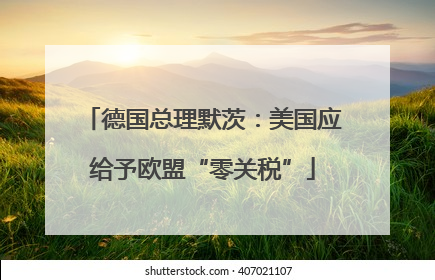 德国总理默茨：美国应给予欧盟“零关税”