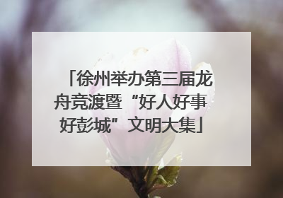徐州举办第三届龙舟竞渡暨“好人好事好彭城”文明大集