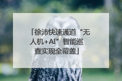 徐沛快速通道“无人机+AI”智能巡查实现全覆盖
