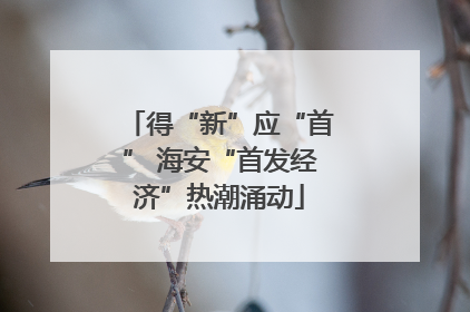 得“新”应“首” 海安“首发经济”热潮涌动
