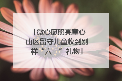 微心愿照亮童心 山区留守儿童收到别样“六一”礼物