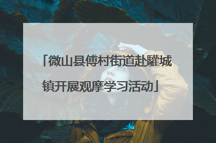 微山县傅村街道赴驩城镇开展观摩学习活动