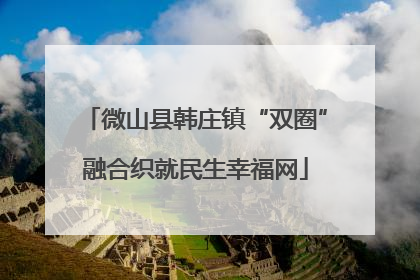 微山县韩庄镇“双圈”融合织就民生幸福网