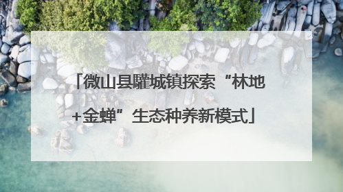 微山县驩城镇探索“林地+金蝉”生态种养新模式