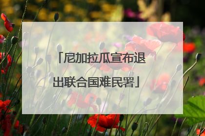 尼加拉瓜宣布退出联合国难民署