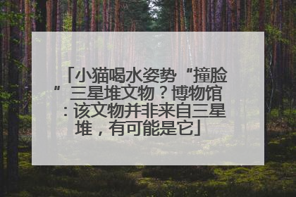 小猫喝水姿势“撞脸”三星堆文物？博物馆：该文物并非来自三星堆，有可能是它