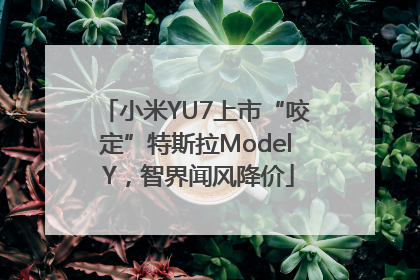 小米YU7上市“咬定”特斯拉Model Y，智界闻风降价
