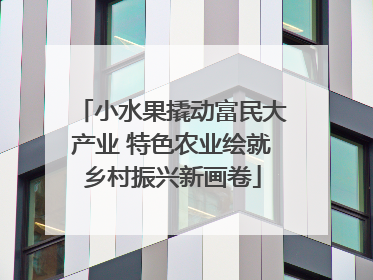 小水果撬动富民大产业 特色农业绘就乡村振兴新画卷