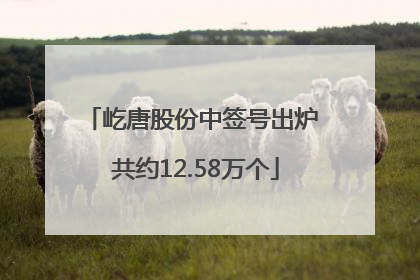 屹唐股份中签号出炉 共约12.58万个