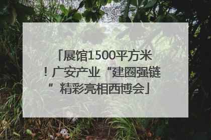 展馆1500平方米！广安产业“建圈强链”精彩亮相西博会