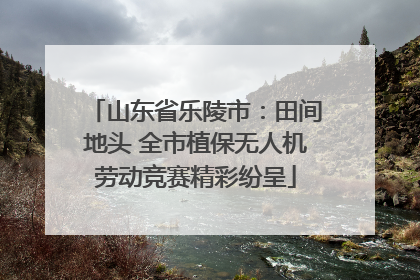 山东省乐陵市：田间地头 全市植保无人机劳动竞赛精彩纷呈