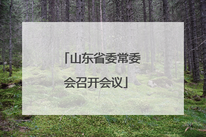 山东省委常委会召开会议