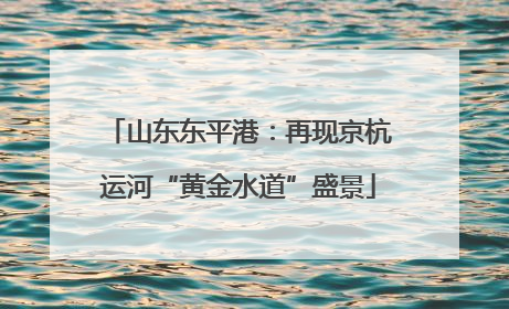 山东东平港：再现京杭运河“黄金水道”盛景