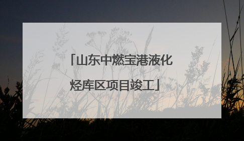 山东中燃宝港液化烃库区项目竣工