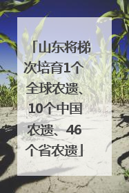 山东将梯次培育1个全球农遗、10个中国农遗、46个省农遗