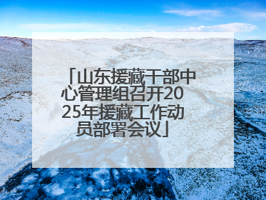 山东援藏干部中心管理组召开2025年援藏工作动员部署会议