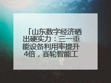 山东数字经济晒出硬实力：三一重能设备利用率提升4倍，赛轮智能工厂38秒生产一条轮胎