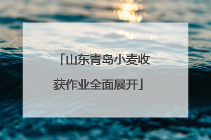 山东青岛小麦收获作业全面展开