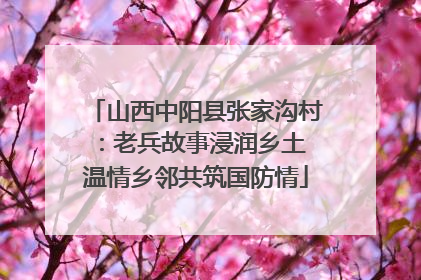 山西中阳县张家沟村：老兵故事浸润乡土 温情乡邻共筑国防情