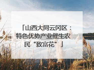 山西大同云冈区：特色优势产业催生农民“致富花”