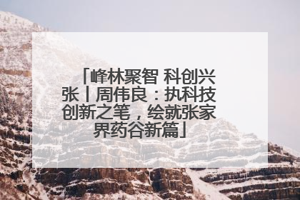 峰林聚智 科创兴张丨周伟良：执科技创新之笔，绘就张家界药谷新篇