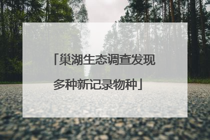 巢湖生态调查发现多种新记录物种