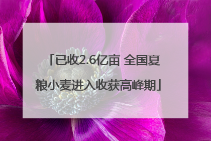 已收2.6亿亩 全国夏粮小麦进入收获高峰期