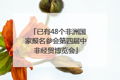 已有48个非洲国家报名参会第四届中非经贸博览会
