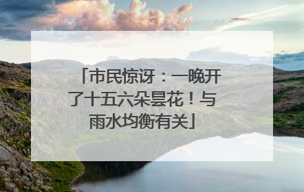 市民惊讶：一晚开了十五六朵昙花！与雨水均衡有关