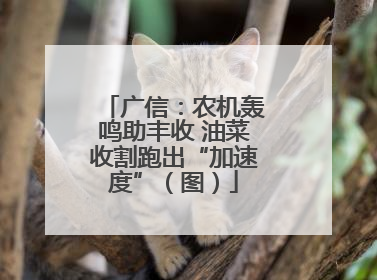 广信：农机轰鸣助丰收 油菜收割跑出“加速度”（图）