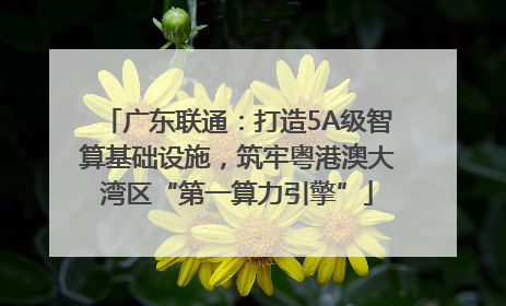 广东联通：打造5A级智算基础设施，筑牢粤港澳大湾区“第一算力引擎”