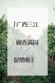 广西三江：椒香满园促增收