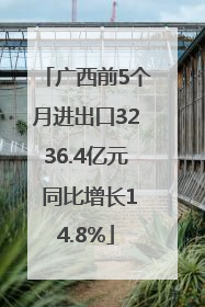 广西前5个月进出口3236.4亿元 同比增长14.8%