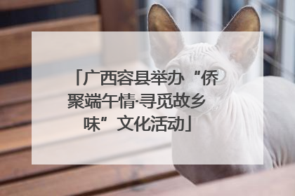 广西容县举办“侨聚端午情·寻觅故乡味”文化活动