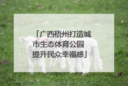 广西梧州打造城市生态体育公园 提升民众幸福感