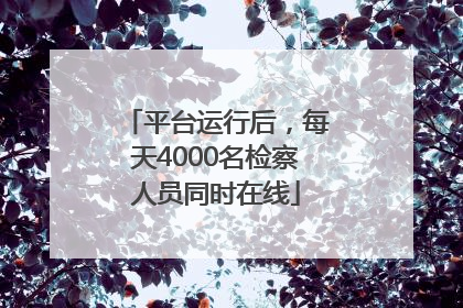 平台运行后，每天4000名检察人员同时在线