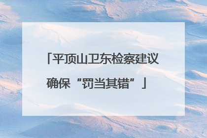 平顶山卫东检察建议确保“罚当其错”