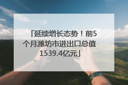 延续增长态势！前5个月潍坊市进出口总值1539.4亿元